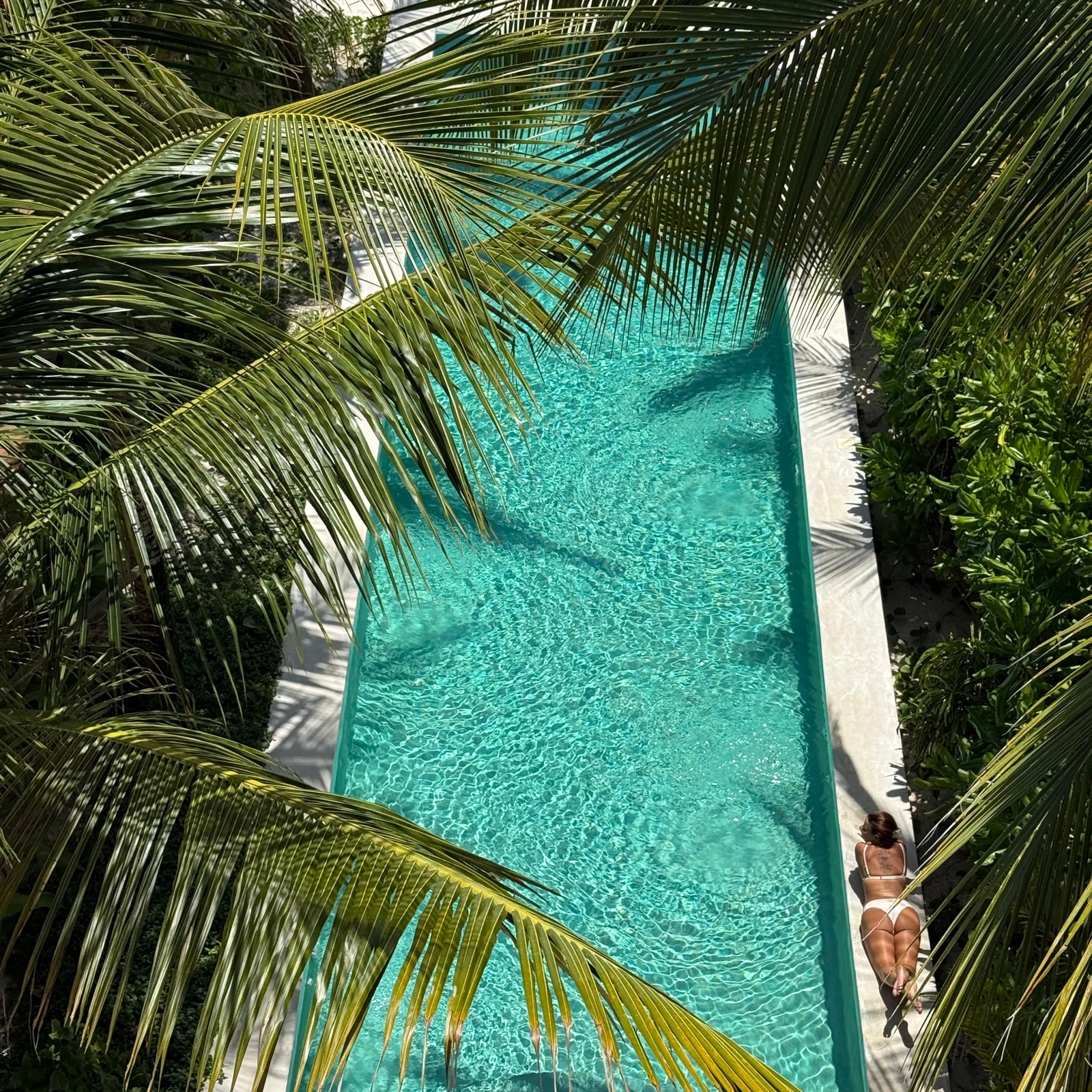 Travel curation, a turquoise pool framed by palm trees